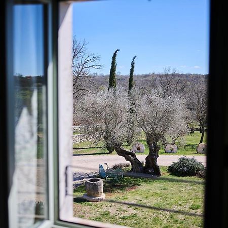 Winery Cuj Bed & Breakfast Vilanija Exterior foto