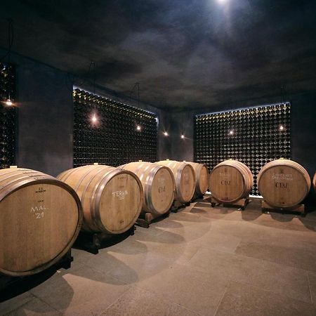 Winery Cuj Bed & Breakfast Vilanija Exterior foto