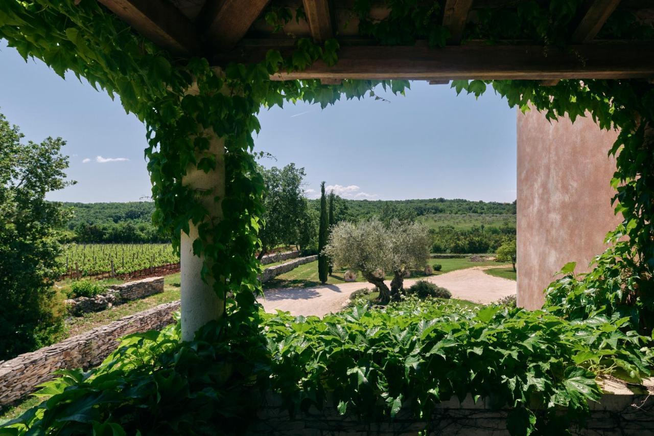 Winery Cuj Bed & Breakfast Vilanija Exterior foto